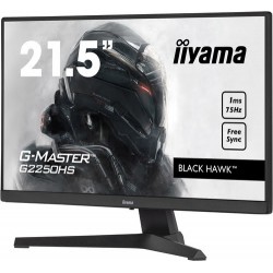 Écran 22" LCD Iiyama G-Master G2250HS-B1