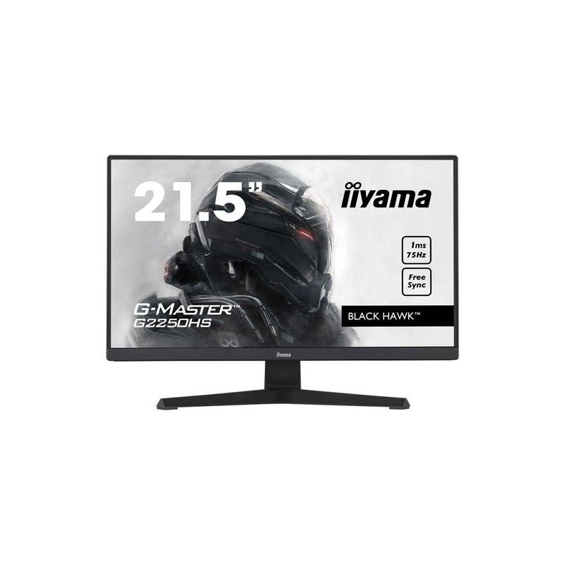 Écran 22" LCD Iiyama G-Master G2250HS-B1