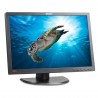 Lenovo ThinkVision LT2452p | 24" black